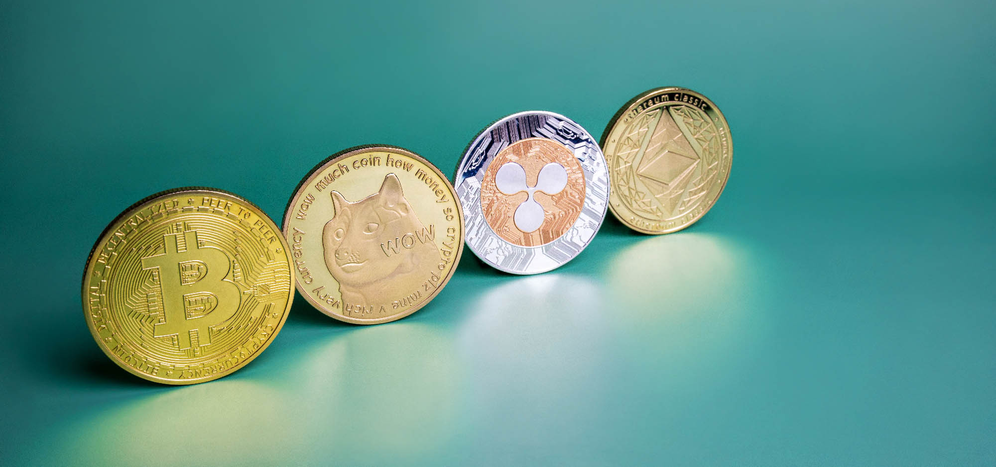 Navigating the Cryptocurrency Landscape: An Introduction and Examination